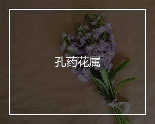 孔药花属