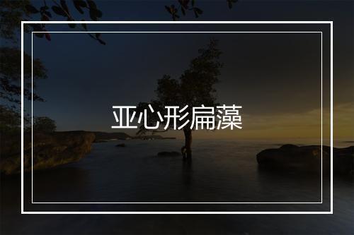 亚心形扁藻