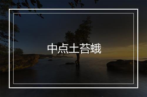 中点土苔蛾