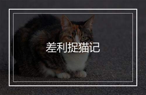 差利捉猫记