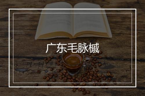 广东毛脉槭