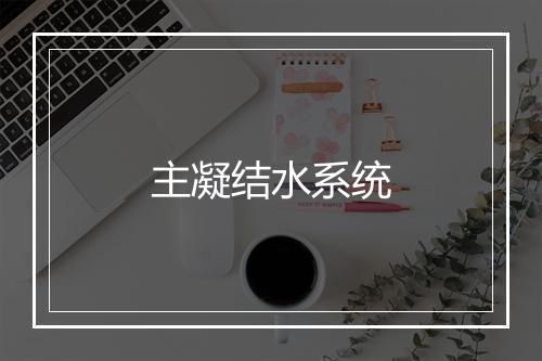 主凝结水系统