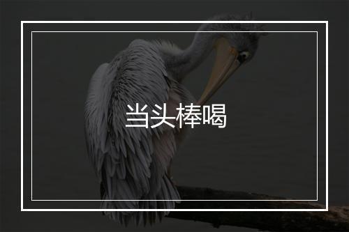 当头棒喝