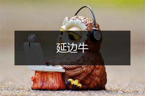 延边牛