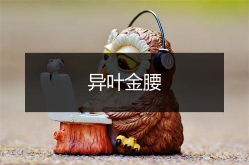 异叶金腰