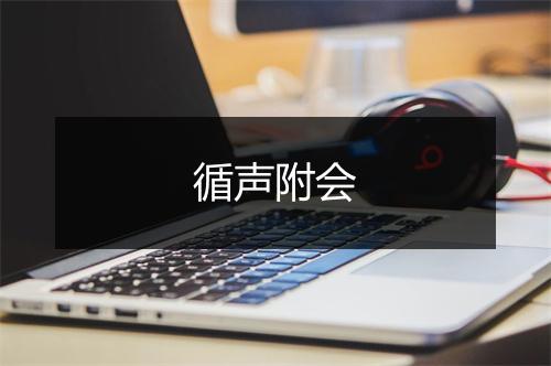 循声附会