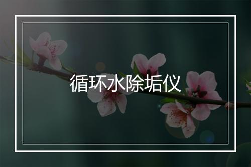 循环水除垢仪