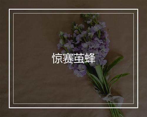 惊赛茧蜂