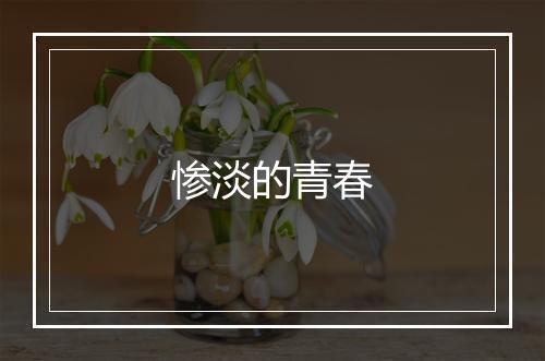 惨淡的青春