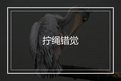 拧绳错觉