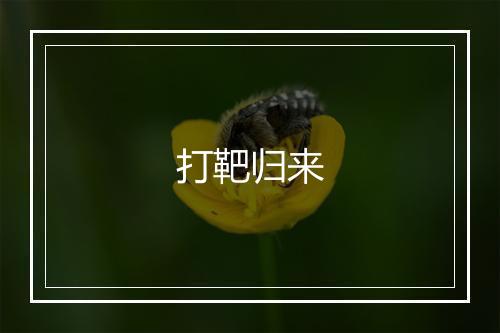 打靶归来