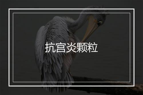 抗宫炎颗粒