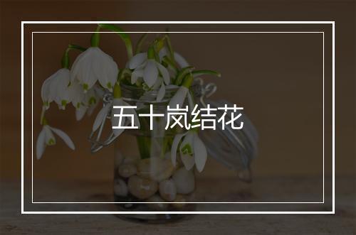 五十岚结花