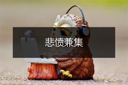 悲愤兼集