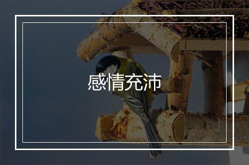 感情充沛