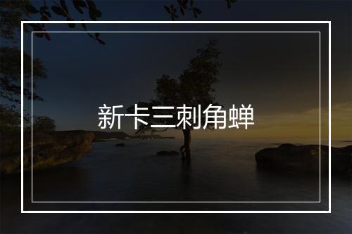 新卡三刺角蝉