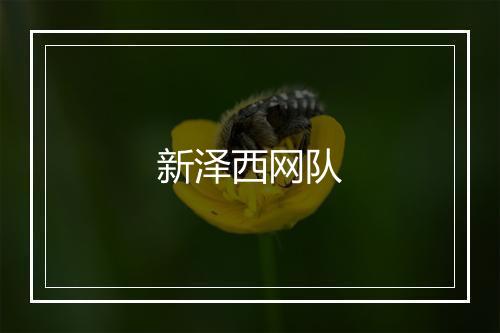 新泽西网队