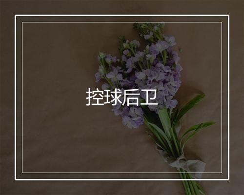 控球后卫