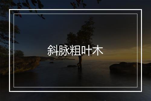 斜脉粗叶木