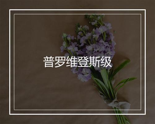 普罗维登斯级