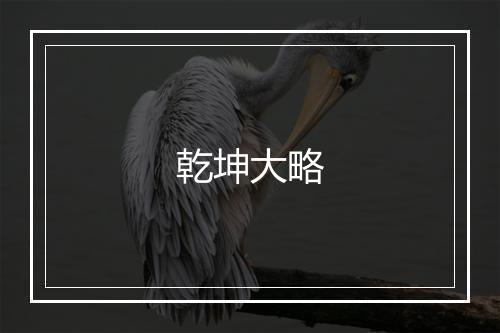 乾坤大略