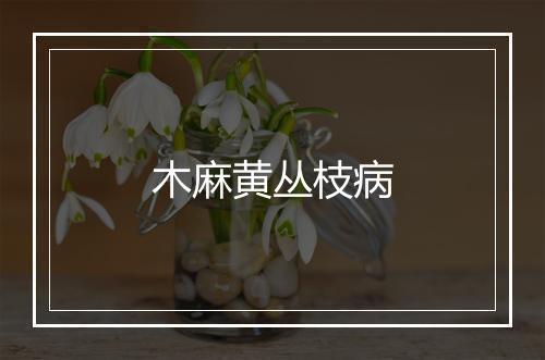 木麻黄丛枝病