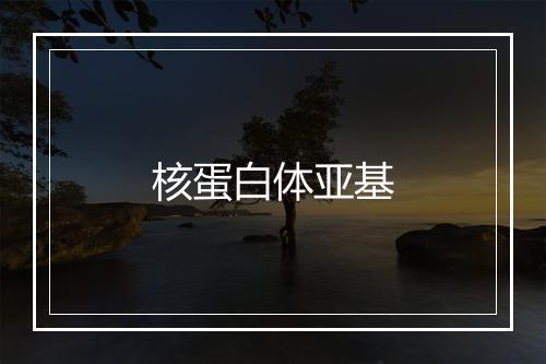 核蛋白体亚基