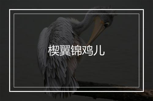 楔翼锦鸡儿