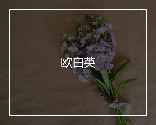 欧白英