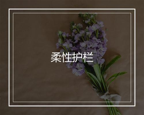 柔性护栏