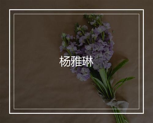 杨雅琳