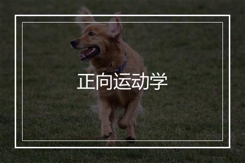 正向运动学