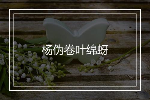 杨伪卷叶绵蚜