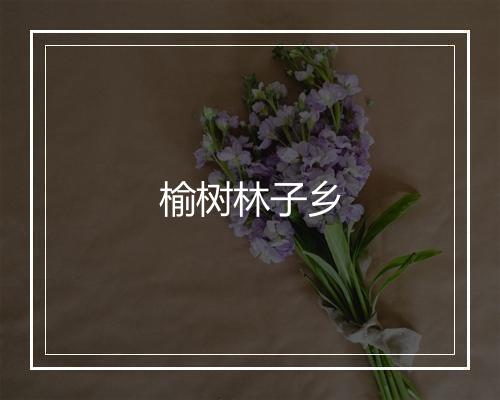 榆树林子乡