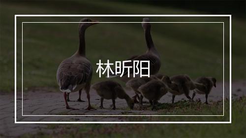 林昕阳