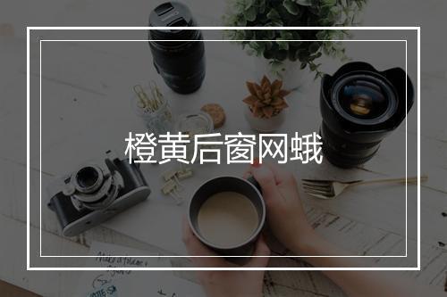 橙黄后窗网蛾