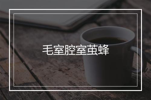 毛室腔室茧蜂