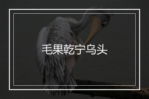 毛果乾宁乌头