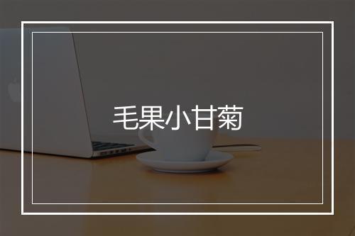 毛果小甘菊