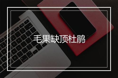 毛果缺顶杜鹃