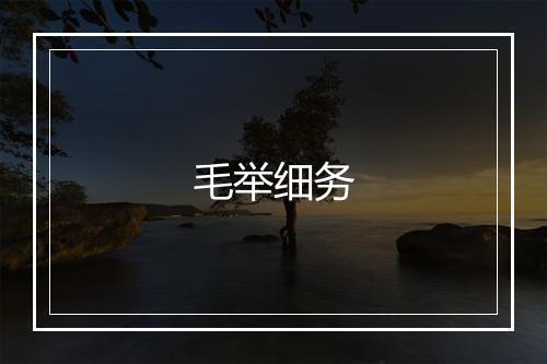 毛举细务