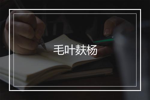 毛叶麸杨