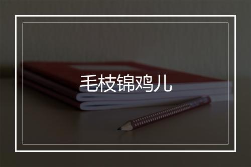 毛枝锦鸡儿