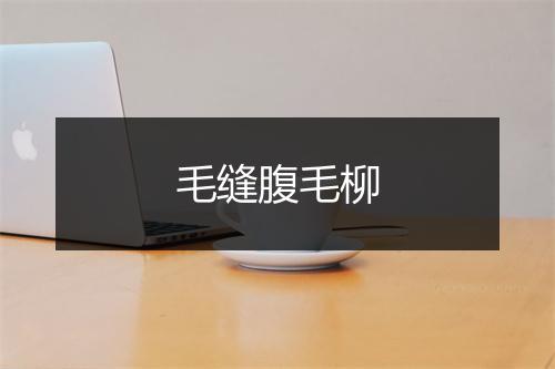 毛缝腹毛柳