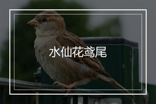 水仙花鸢尾