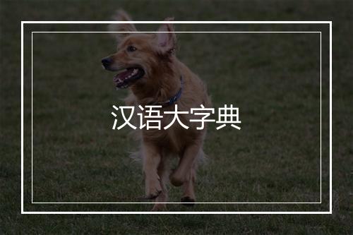 汉语大字典