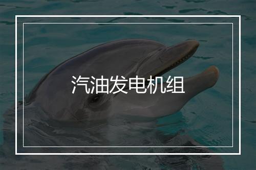 汽油发电机组