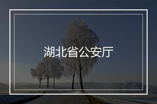 湖北省公安厅