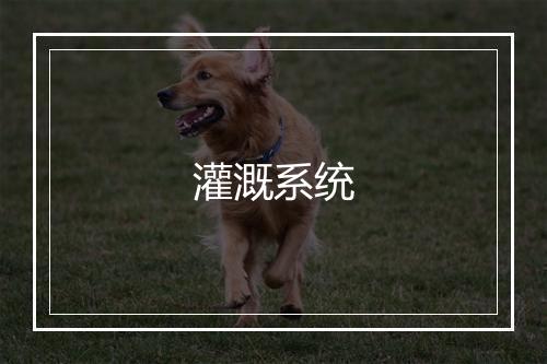 灌溉系统