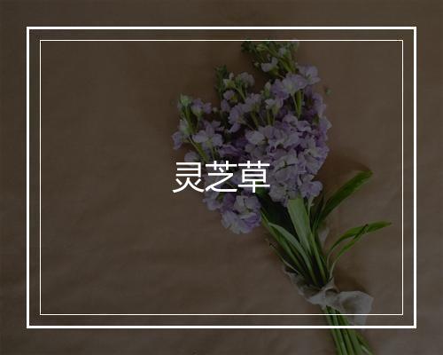 灵芝草